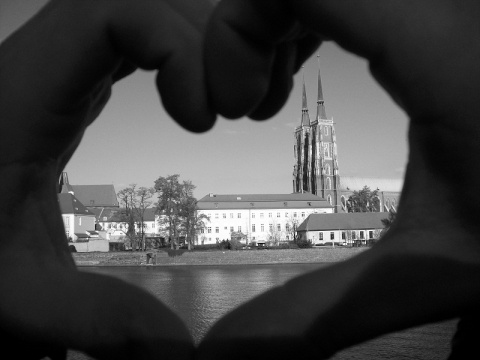 Kliknij na zdjęcie, żeby zobaczyć w pełnych wymiarach