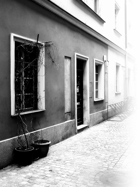 Kliknij na zdjęcie, żeby zobaczyć w pełnych wymiarach