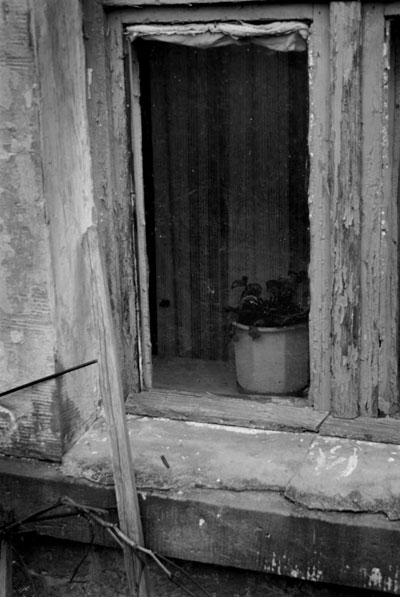 Kliknij na zdjęcie, żeby zobaczyć w pełnych wymiarach