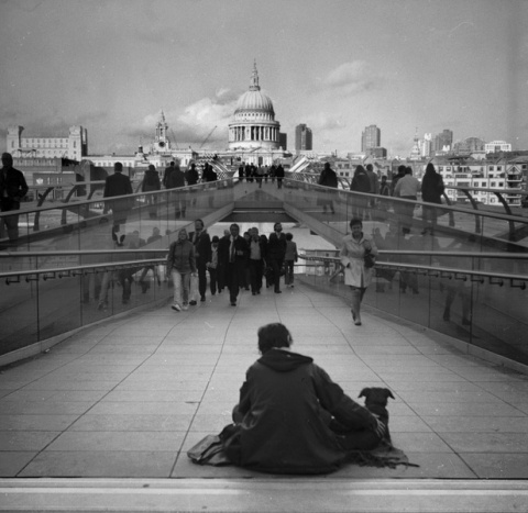 Kliknij na zdjęcie, żeby zobaczyć w pełnych wymiarach