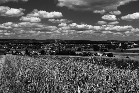 Kliknij na zdjęcie, żeby zobaczyć w pełnych wymiarach