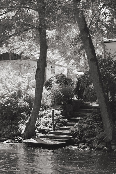 Kliknij na zdjęcie, żeby zobaczyć w pełnych wymiarach