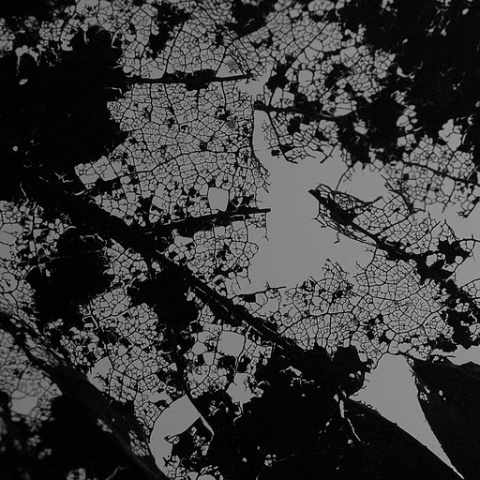 Kliknij na zdjęcie, żeby zobaczyć w pełnych wymiarach