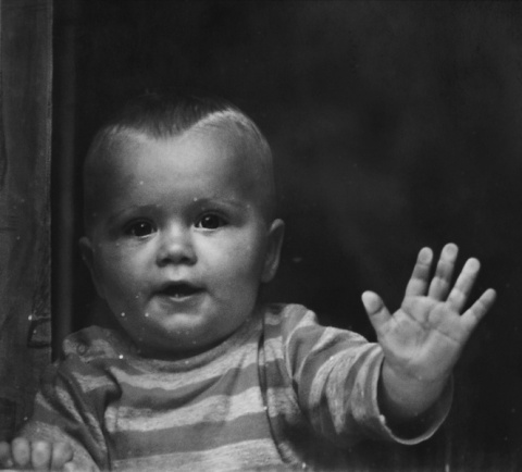 Kliknij na zdjęcie, żeby zobaczyć w pełnych wymiarach