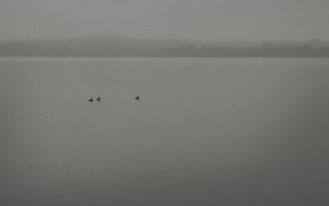 Kliknij na zdjęcie, żeby zobaczyć w pełnych wymiarach