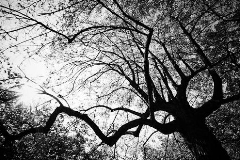 Kliknij na zdjęcie, żeby zobaczyć w pełnych wymiarach