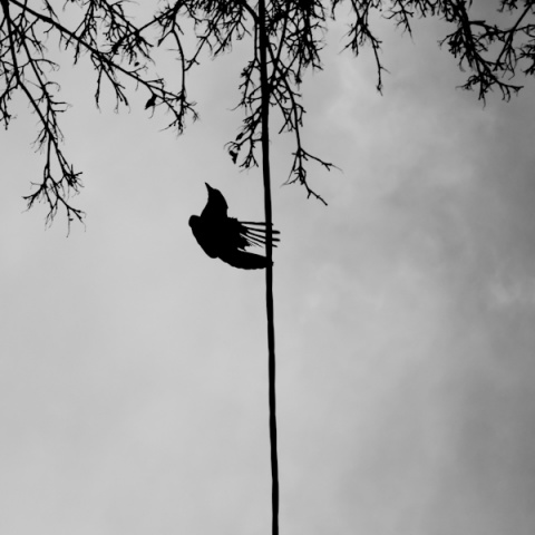 Kliknij na zdjęcie, żeby zobaczyć w pełnych wymiarach