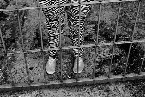 Kliknij na zdjęcie, żeby zobaczyć w pełnych wymiarach