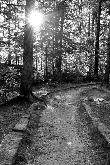 Kliknij na zdjęcie, żeby zobaczyć w pełnych wymiarach