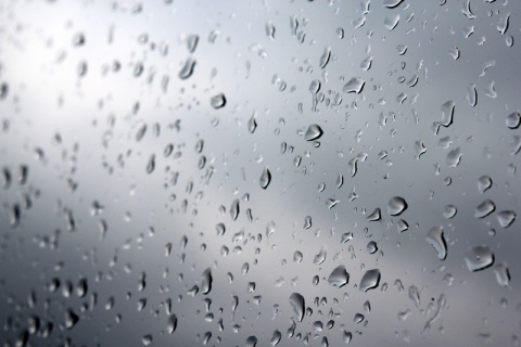 Kliknij na zdjęcie, żeby zobaczyć w pełnych wymiarach