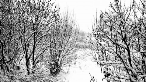 Kliknij na zdjęcie, żeby zobaczyć w pełnych wymiarach