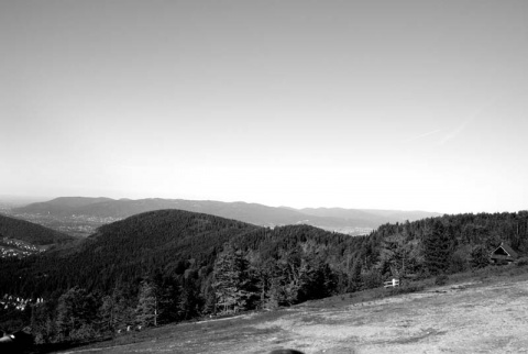 Kliknij na zdjęcie, żeby zobaczyć w pełnych wymiarach