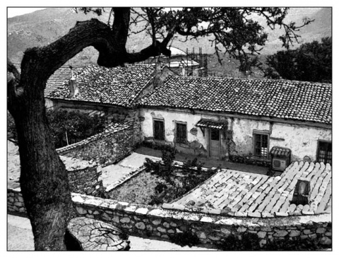 Kliknij na zdjęcie, żeby zobaczyć w pełnych wymiarach