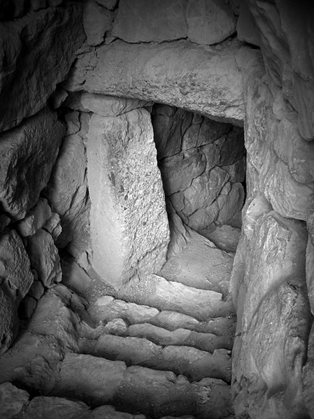 Kliknij na zdjęcie, żeby zobaczyć w pełnych wymiarach