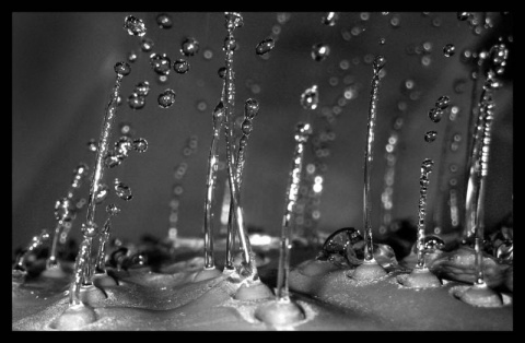 Kliknij na zdjęcie, żeby zobaczyć w pełnych wymiarach