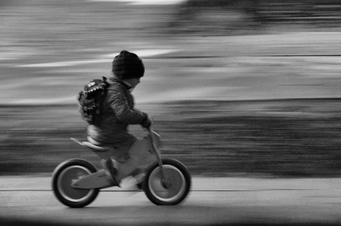 Kliknij na zdjęcie, żeby zobaczyć w pełnych wymiarach