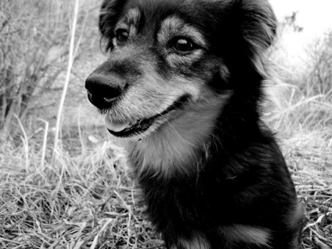 Kliknij na zdjęcie, żeby zobaczyć w pełnych wymiarach