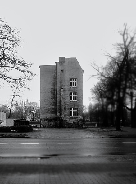 Kliknij na zdjęcie, żeby zobaczyć w pełnych wymiarach