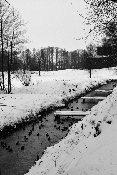 Kliknij na zdjęcie, żeby zobaczyć w pełnych wymiarach