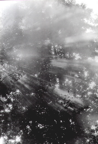 Kliknij na zdjęcie, żeby zobaczyć w pełnych wymiarach