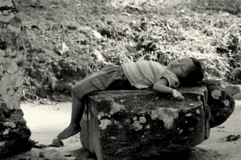 Kliknij na zdjęcie, żeby zobaczyć w pełnych wymiarach