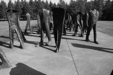 Kliknij na zdjęcie, żeby zobaczyć w pełnych wymiarach