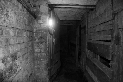 Kliknij na zdjęcie, żeby zobaczyć w pełnych wymiarach