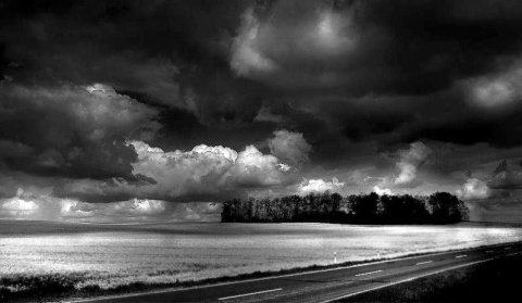 Kliknij na zdjęcie, żeby zobaczyć w pełnych wymiarach