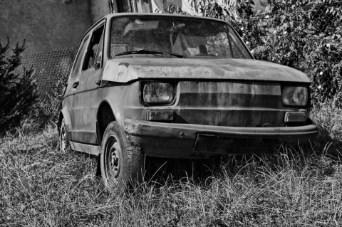 Kliknij na zdjęcie, żeby zobaczyć w pełnych wymiarach