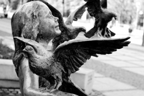 Kliknij na zdjęcie, żeby zobaczyć w pełnych wymiarach