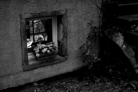 Kliknij na zdjęcie, żeby zobaczyć w pełnych wymiarach