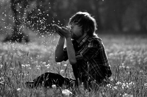 Kliknij na zdjęcie, żeby zobaczyć w pełnych wymiarach