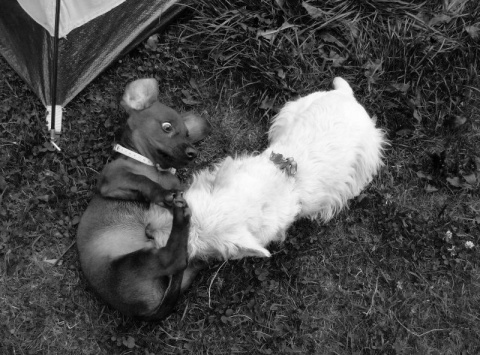 Kliknij na zdjęcie, żeby zobaczyć w pełnych wymiarach