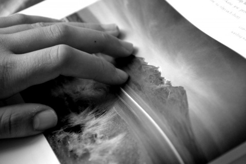 Kliknij na zdjęcie, żeby zobaczyć w pełnych wymiarach