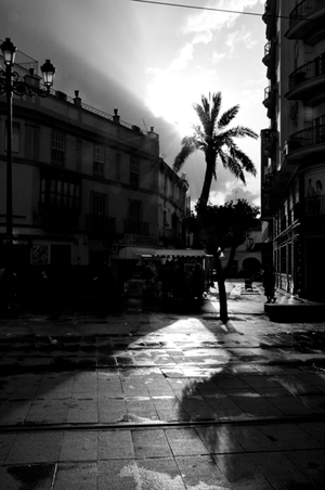 Kliknij na zdjęcie, żeby zobaczyć w pełnych wymiarach