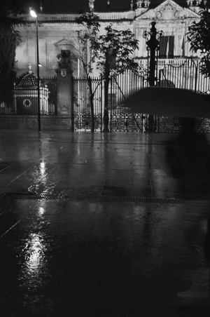 Kliknij na zdjęcie, żeby zobaczyć w pełnych wymiarach