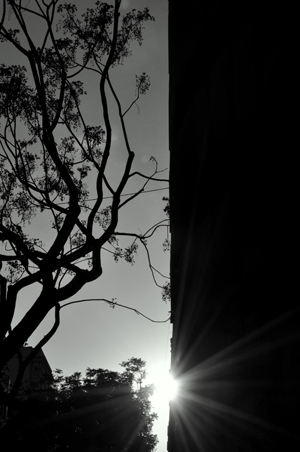 Kliknij na zdjęcie, żeby zobaczyć w pełnych wymiarach