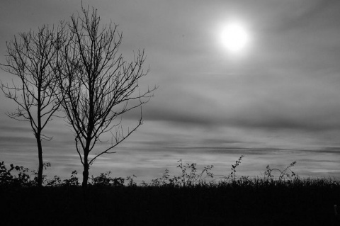 Kliknij na zdjęcie, żeby zobaczyć w pełnych wymiarach