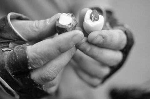 Kliknij na zdjęcie, żeby zobaczyć w pełnych wymiarach