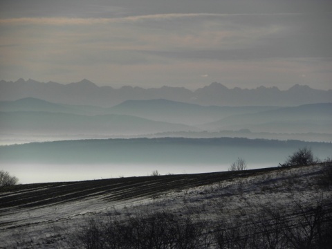 Kliknij na zdjęcie, żeby zobaczyć w pełnych wymiarach