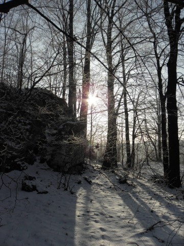 Kliknij na zdjęcie, żeby zobaczyć w pełnych wymiarach