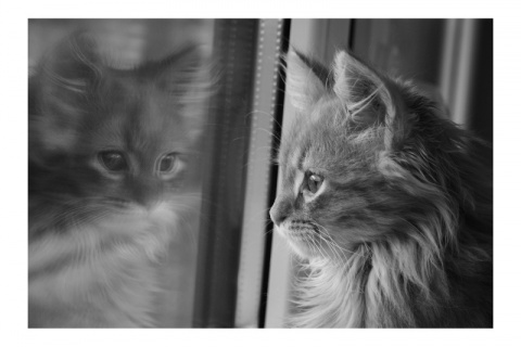 Kliknij na zdjęcie, żeby zobaczyć w pełnych wymiarach