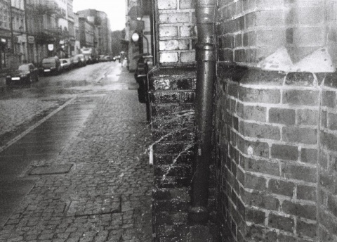 Kliknij na zdjęcie, żeby zobaczyć w pełnych wymiarach