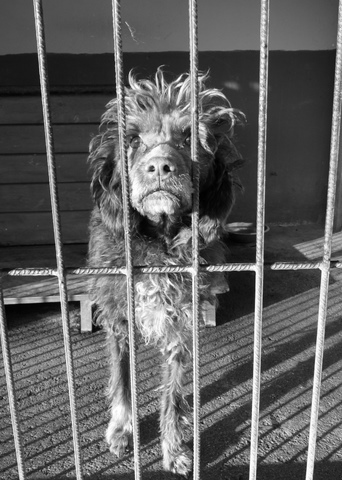 Kliknij na zdjęcie, żeby zobaczyć w pełnych wymiarach