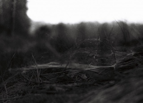 Kliknij na zdjęcie, żeby zobaczyć w pełnych wymiarach