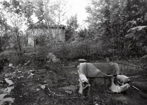 Kliknij na zdjęcie, żeby zobaczyć w pełnych wymiarach