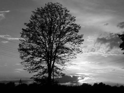 Kliknij na zdjęcie, żeby zobaczyć w pełnych wymiarach