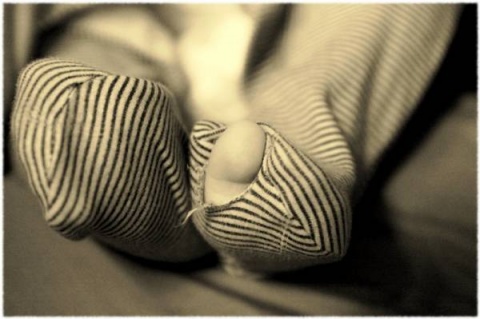 Kliknij na zdjęcie, żeby zobaczyć w pełnych wymiarach