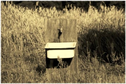 Kliknij na zdjęcie, żeby zobaczyć w pełnych wymiarach