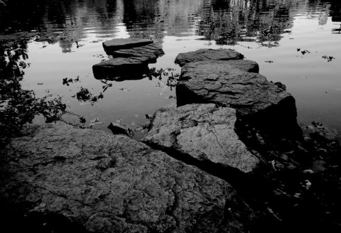 Kliknij na zdjęcie, żeby zobaczyć w pełnych wymiarach